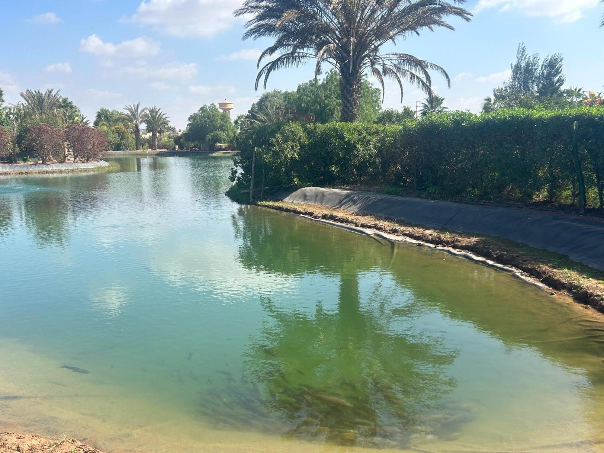 Villa Louisa Piscine Privee Sans Vis A Vis Dyar Shemsi Tarudante Exterior foto